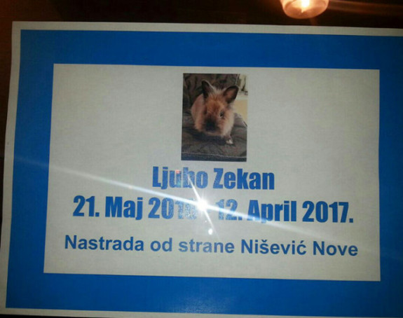 Smrtovnica za zeca!