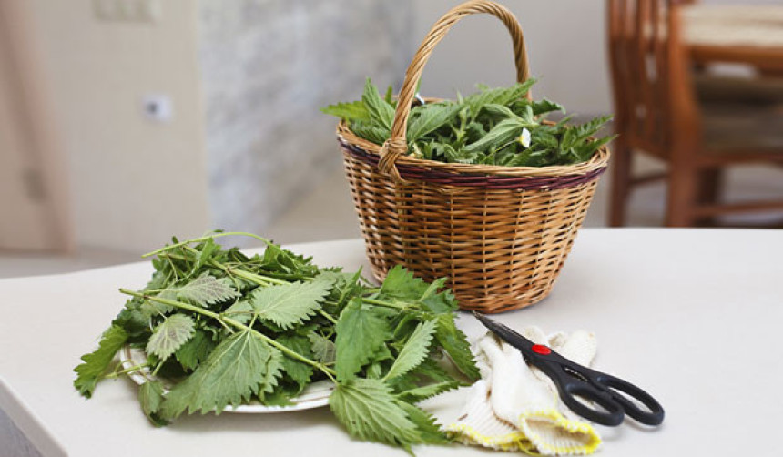 Kako spriječiti anemiju