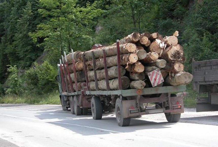 Osujećena šumska krađa na Palama