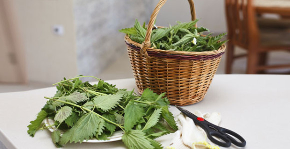 Kako spriječiti anemiju