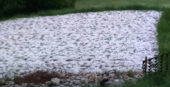 Grad uništio voće u Ljubinju