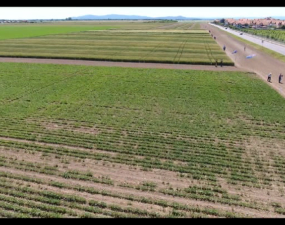 Ratari: Hoćemo pravednu podjelu 