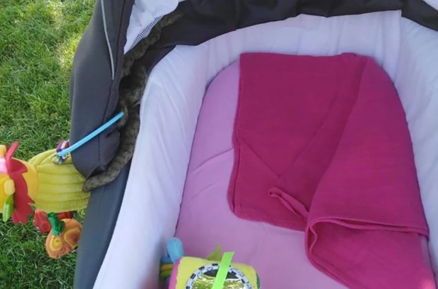 Jezivo: Zmija u dječijim kolicima