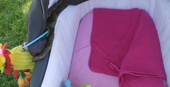 Jezivo: Zmija u dječijim kolicima