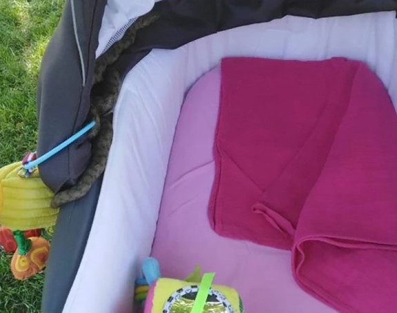 Jezivo: Zmija u dječijim kolicima