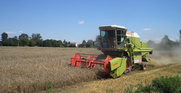 Loš prinos i mala cijena pšenice