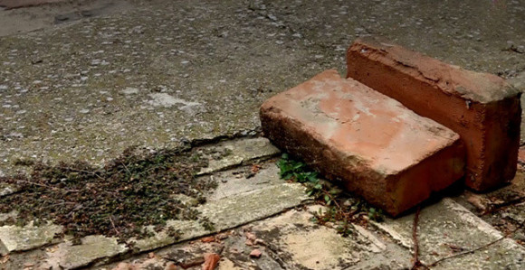 Stanari na ulici u Novom Sadu