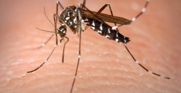 Grоznicа zаpаdnоg Nilа u regionu 