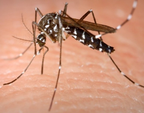 Grоznicа zаpаdnоg Nilа u regionu 