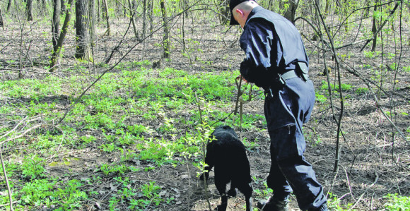 Užas: Muškarac iskasapio majku