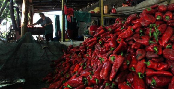 FOTO: Kako nastaje "leskovački kavijar"?