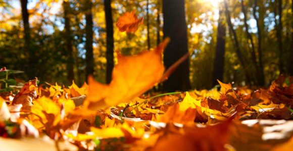 Promjenljivo i toplo vrijeme