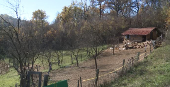 Koze zaražene brucelozom?