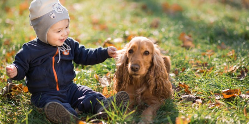 Kučići štite bebe od infekcija