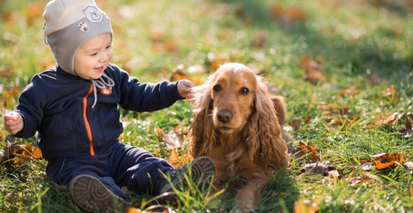 Kučići štite bebe od infekcija