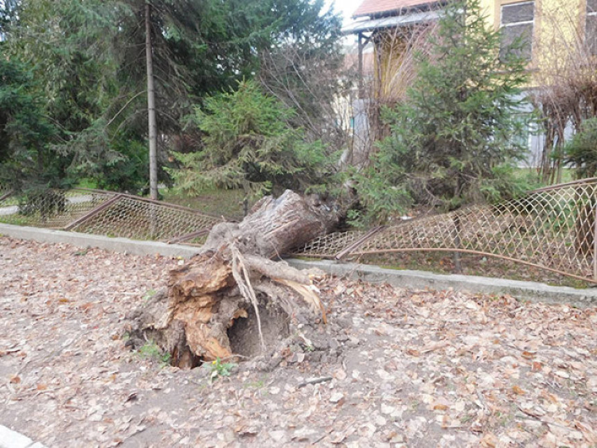 Jak vjetar i kiša pale alarme