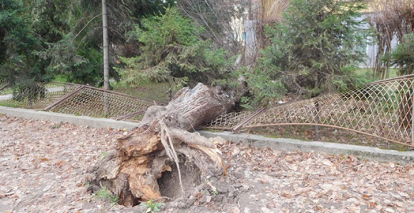 Jak vjetar i kiša pale alarme