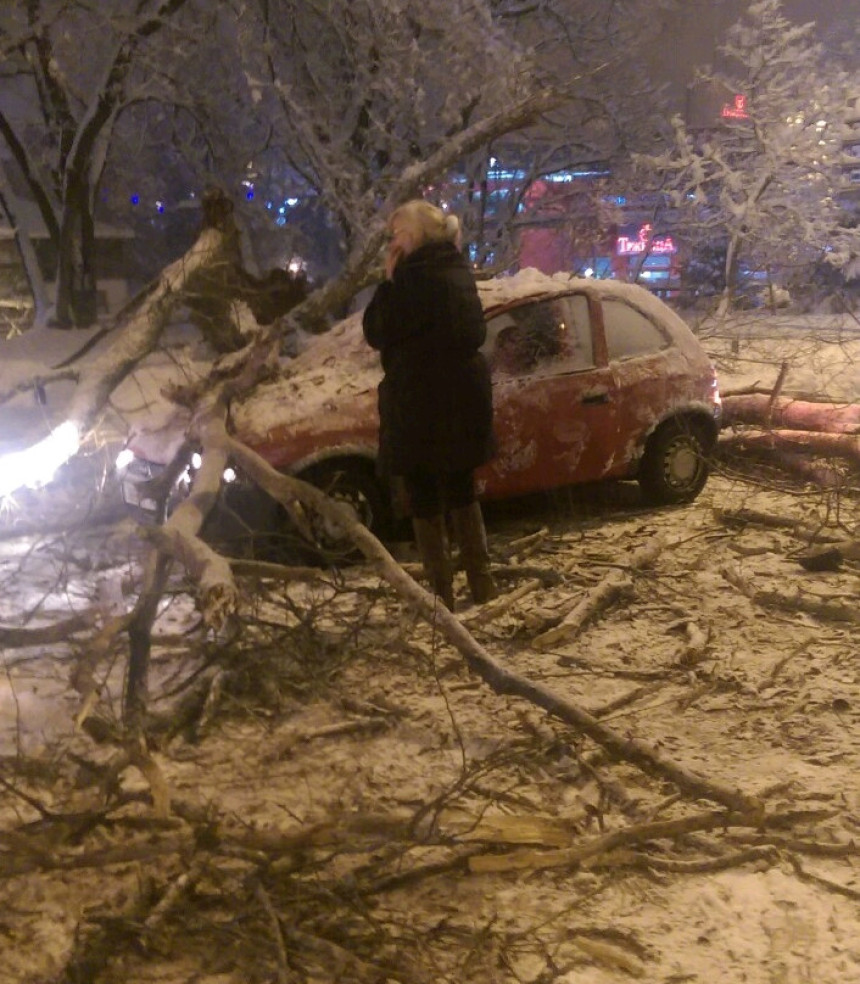 Пало дрво на возило у покрету