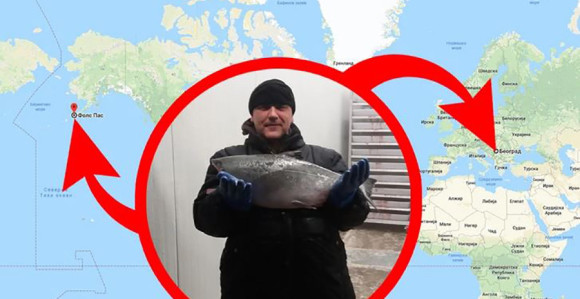 Na pakovanju ribe zaradio 18.000 dolara