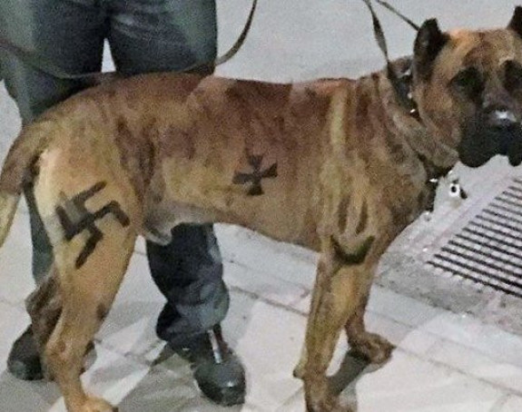 Нацртао кукасти крст на псу  