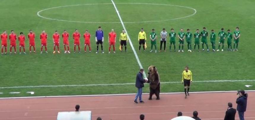 Видео: Медвед извео почетни ударац на утакмици!