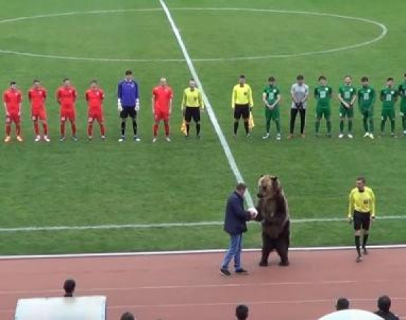 Видео: Медвед извео почетни ударац на утакмици!