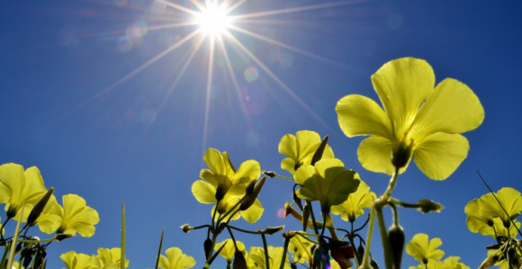 Sutra sunčano i toplije