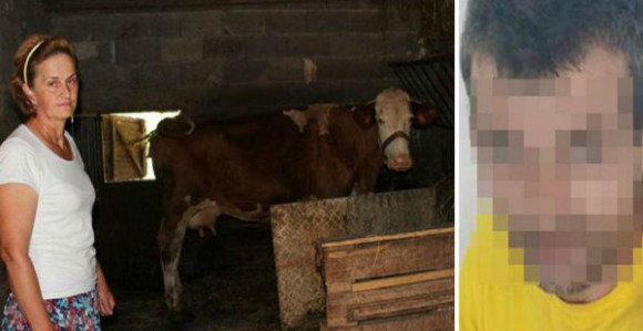 Ago, šta radiš mojoj kravi?