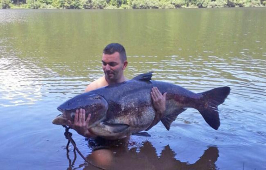 Prnjavor: Ulovio ribu od 52 kilograma