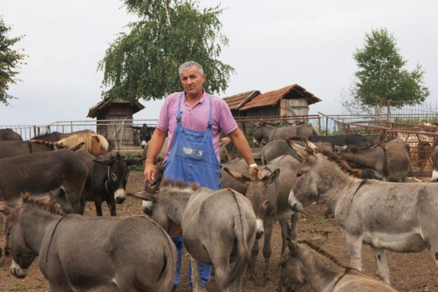 Uzgaja magarce i prodaje zdravo magareće mlijeko