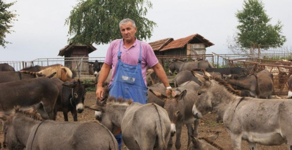 Uzgaja magarce i prodaje zdravo magareće mlijeko