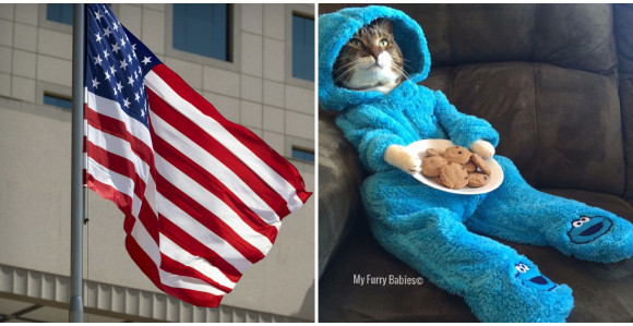 MJAU: Pidžama žurka u ambasadi