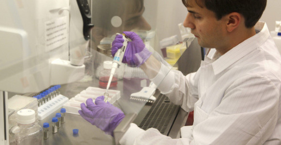 Tajland: Otkriveni novi slučajevi virusa zika