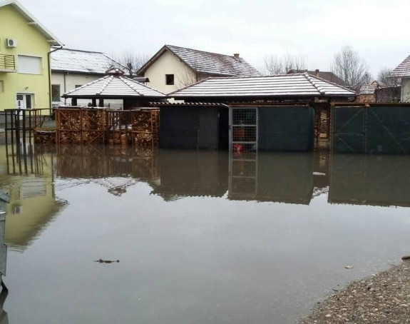U vodi pogušeno 150 pilića