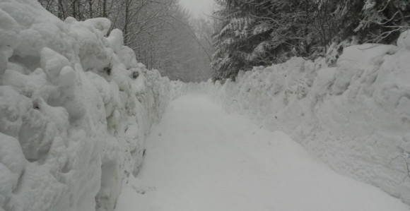 Migranati na Plješevici