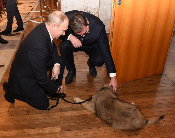 Paša oduševio Vladimira Putina