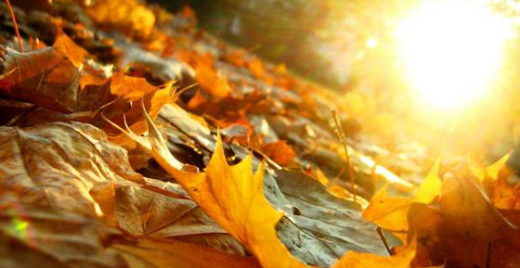 Danas toplo, moguća je povremena kiša