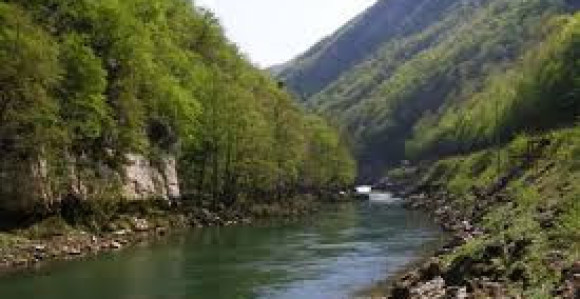 Vozilo sletjelo u Vrbas, potraga za vozačem 