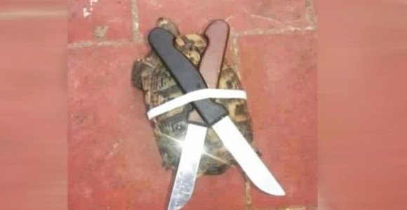 Urnebesno: “Prodajem Nindža kornjaču”