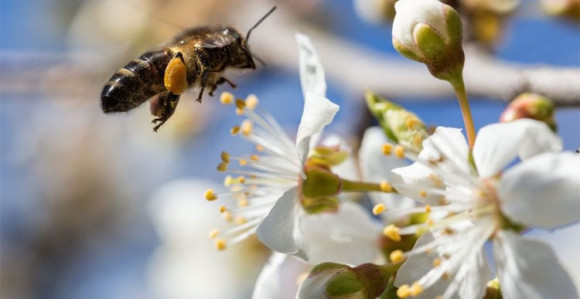 Danas pretežno sunčano vrijeme