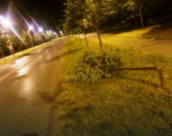 Banjaluka: Olujni vjetar noćas lomio stabla