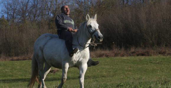 Mariću, dođi da pečemo vola