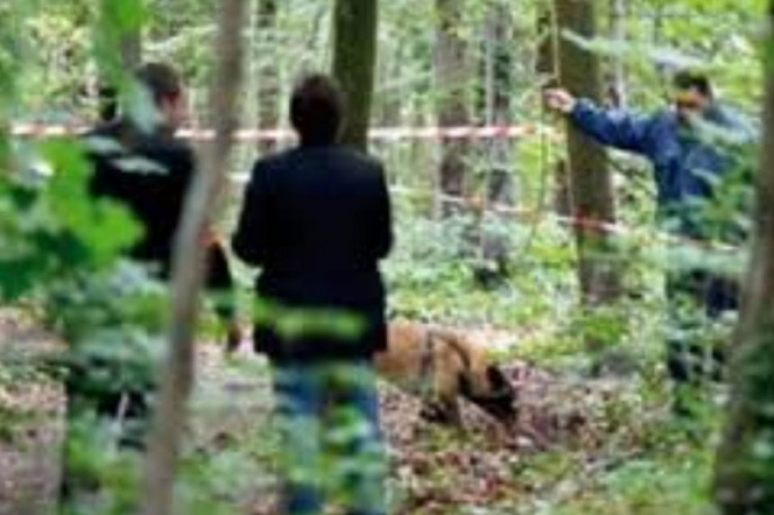 Muškarac stradao tokom sječe šume