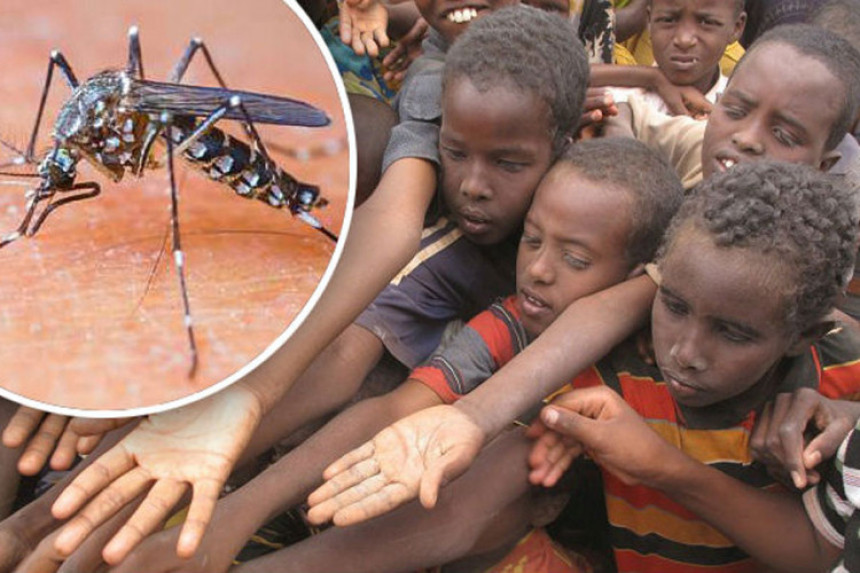 Smrtonosni afrički virus prijeti Evropi