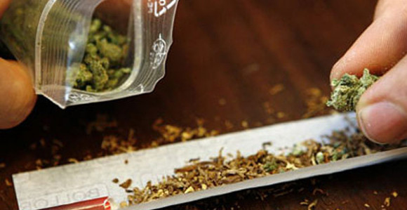"Marihuanu više konzumiraju siromašni i manje obrazovani građani"