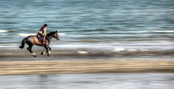 Ždrebica prodata za 1,4 miliona evra u Francuskoj