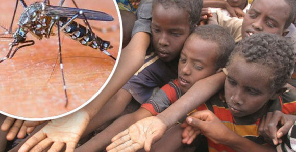 Smrtonosni afrički virus prijeti Evropi  