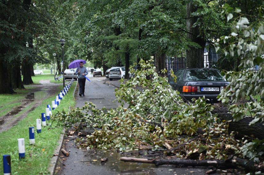 Pala dva drveta u Banjaluci