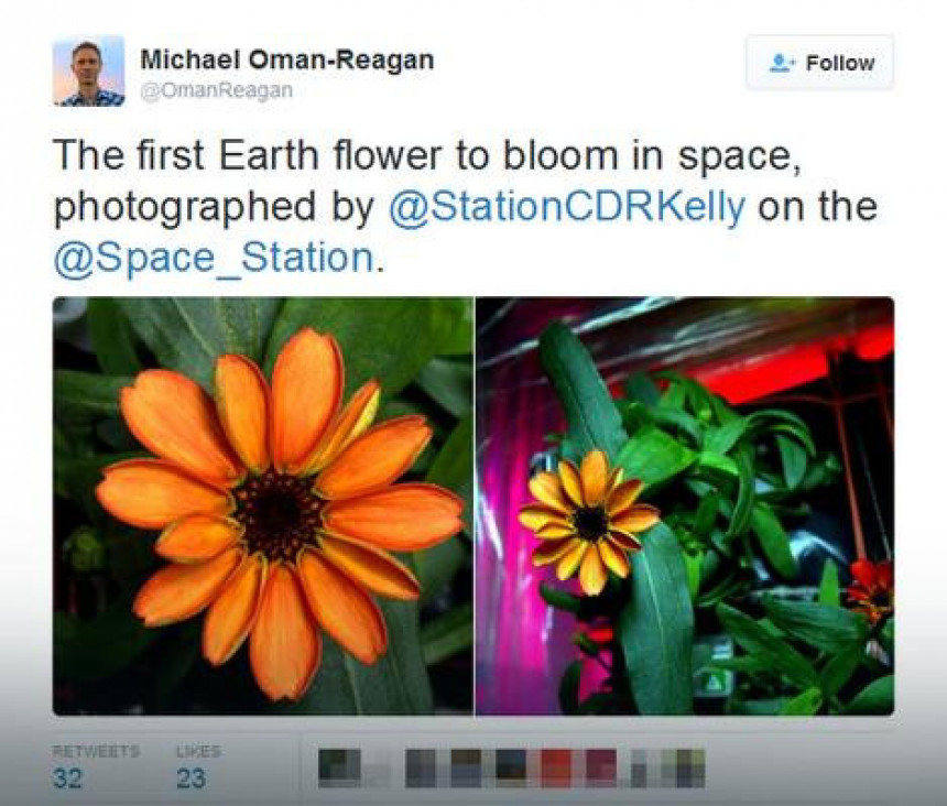 Prvi cvijet u svemiru