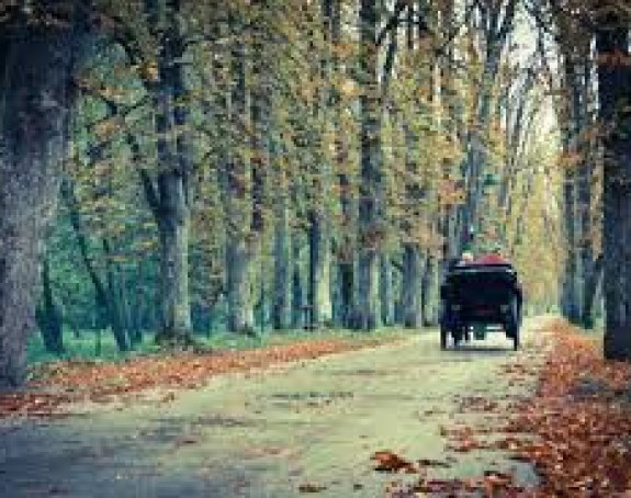 Danas toplije vrijeme u BiH